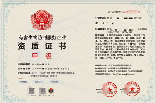 深圳企業(yè)信息技術(shù)咨詢服務(wù) 驅(qū)動(dòng)數(shù)字化轉(zhuǎn)型的智慧引擎